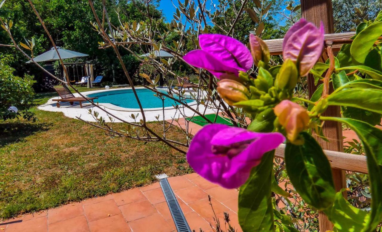 Apartment Nona Ancka ماريزيج المظهر الخارجي الصورة